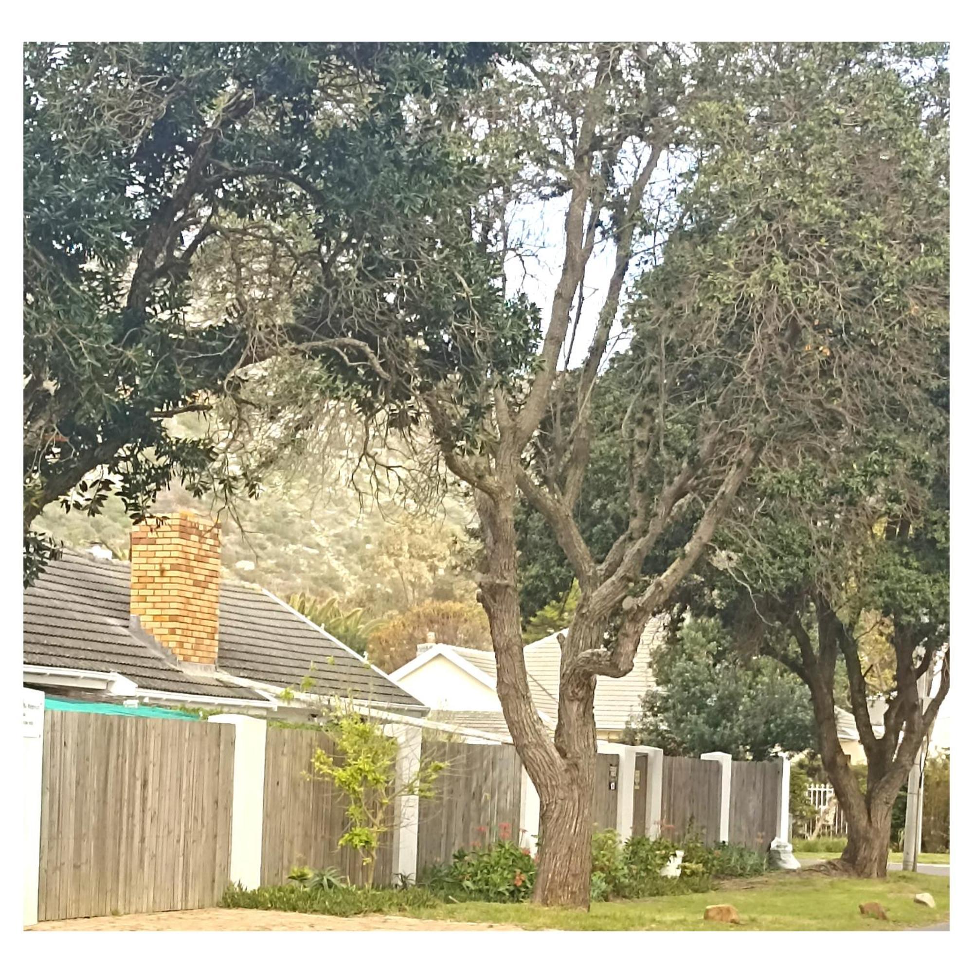 The Retreat Bed & Breakfast Kommetjie Luaran gambar